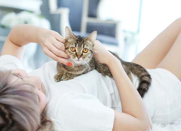How are Pets Treated in Japan