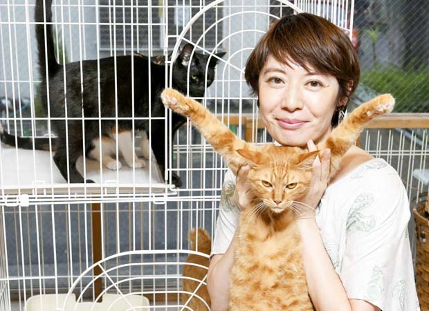 Why is Japan not Pet-Friendly?
