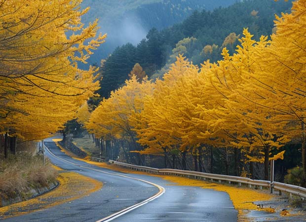 Yellow Spring Road Japan